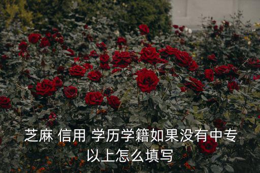  芝麻 信用 學(xué)歷學(xué)籍如果沒有中專以上怎么填寫