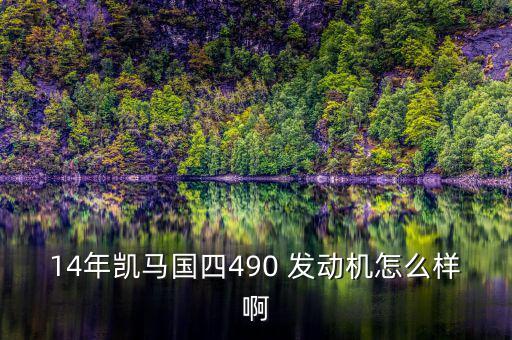 14年凱馬國四490 發(fā)動(dòng)機(jī)怎么樣啊