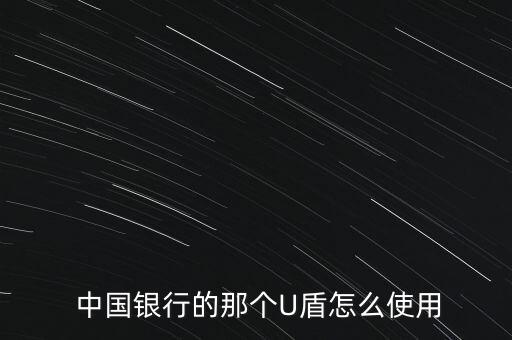  中國銀行的那個(gè)U盾怎么使用