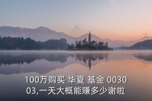 100萬(wàn)購(gòu)買(mǎi) 華夏 基金 003003,一天大概能賺多少謝啦