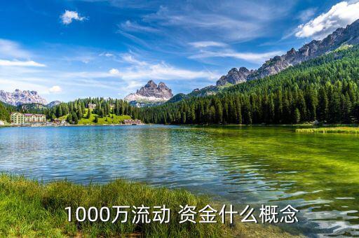  1000萬流動(dòng) 資金什么概念