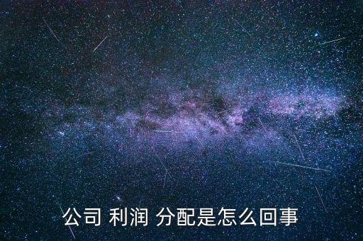 公司 利潤 分配是怎么回事