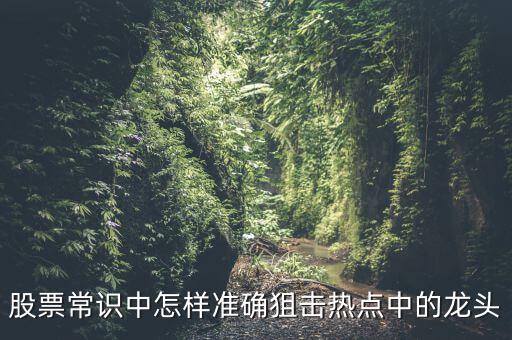 力合股份怎么樣,追龍頭股須做好準(zhǔn)備