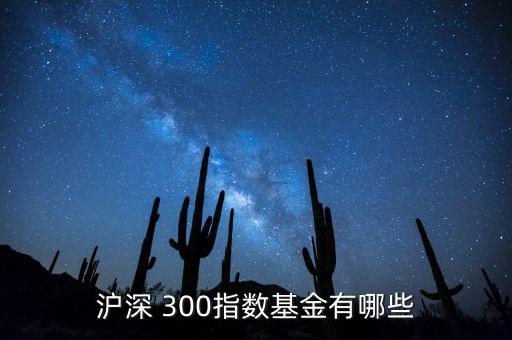 滬深 300指數(shù)基金有哪些