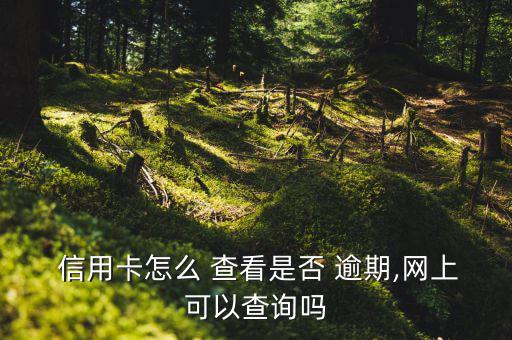  信用卡怎么 查看是否 逾期,網(wǎng)上可以查詢嗎