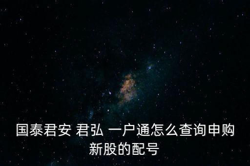 國泰君安 君弘 一戶通怎么查詢申購新股的配號