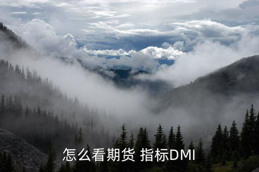 怎么看期貨 指標DMI