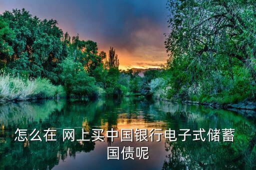 怎么在 網(wǎng)上買(mǎi)中國(guó)銀行電子式儲(chǔ)蓄 國(guó)債呢