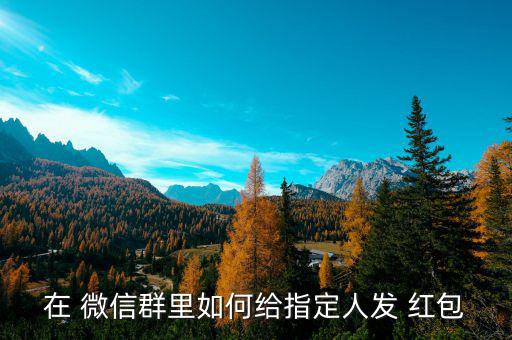 微信群定向紅包怎么發(fā),微信可以發(fā)送友人紅包或進入微信錢包