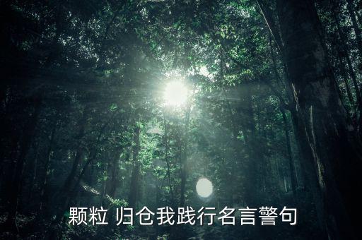  顆粒 歸倉我踐行名言警句