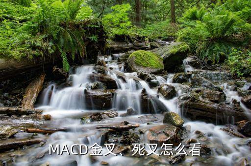 MACD金叉、死叉怎么看