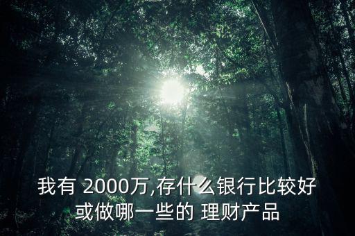 我有 2000萬,存什么銀行比較好或做哪一些的 理財產(chǎn)品