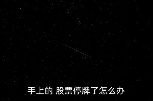 手上的 股票停牌了怎么辦