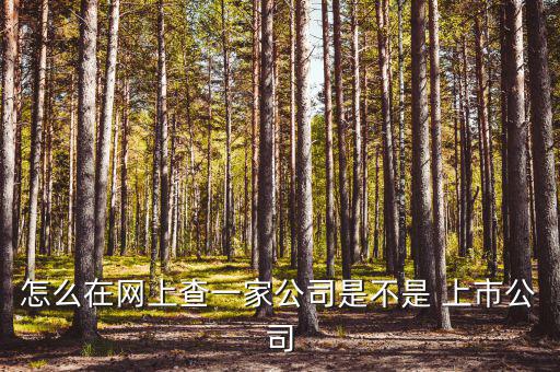 怎么在網(wǎng)上查一家公司是不是 上市公司