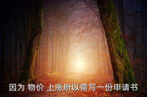 因?yàn)?物價(jià) 上漲所以需寫一份申請(qǐng)書