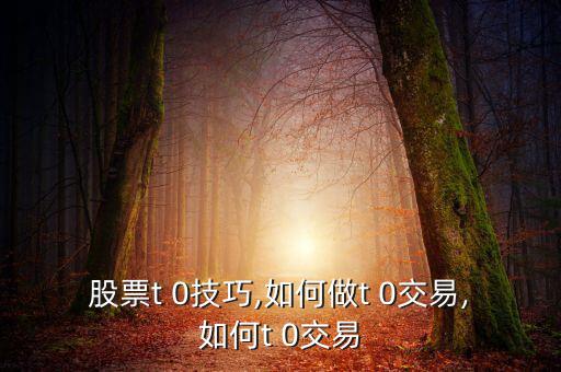 股票t 0技巧,如何做t 0交易,如何t 0交易