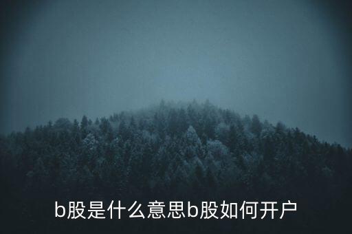 b股怎么交易,人民幣特別股b股在中國上市交易日后第三天完成