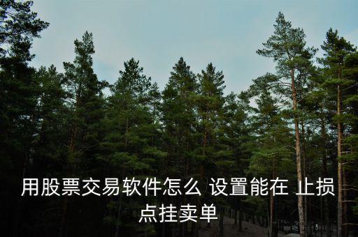 用股票交易軟件怎么 設(shè)置能在 止損點掛賣單