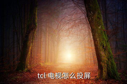 tcl怎么用電視派,如何連接手機與tcl電視?