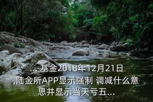 ... 基金2018年12月21日,陸金所APP顯示強(qiáng)制 調(diào)減什么意思并顯示當(dāng)天虧五...