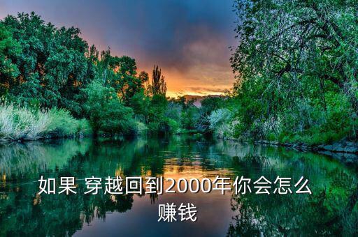 如果 穿越回到2000年你會怎么 賺錢