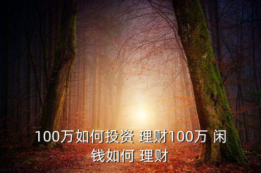 100萬(wàn)如何投資 理財(cái)100萬(wàn) 閑錢如何 理財(cái)