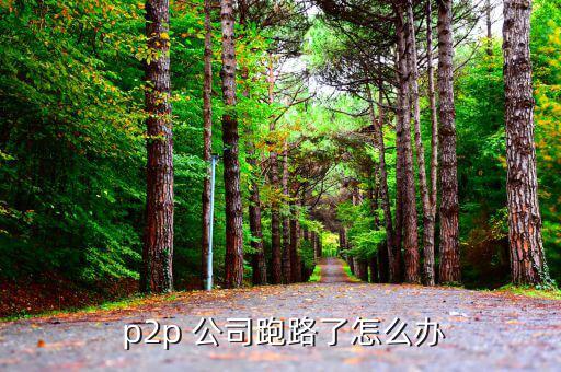  p2p 公司跑路了怎么辦