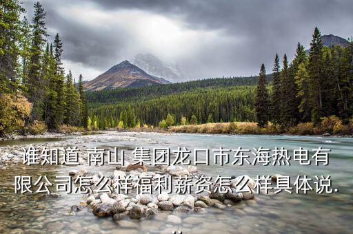 二月南山集團(tuán)怎么樣,南山鋁出資的民營(yíng)熱電廠正式開工