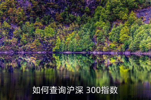 如何查詢滬深 300指數(shù)