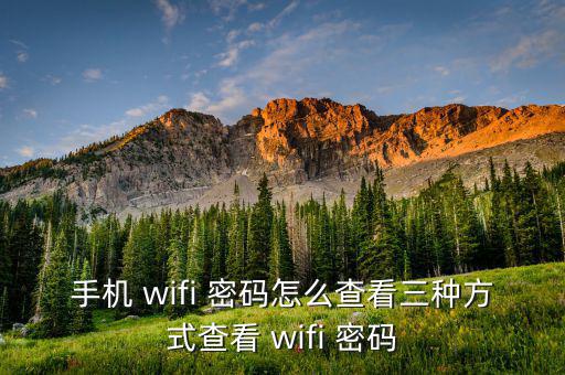 手機(jī) wifi 密碼怎么查看三種方式查看 wifi 密碼