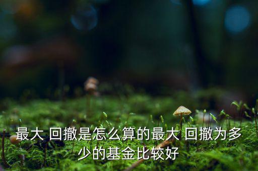 最大回撤率怎么計算,購買一件產品后可能出現(xiàn)的最壞情況?