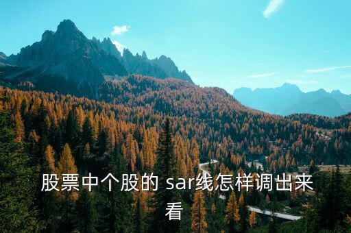  股票中個股的 sar線怎樣調(diào)出來看