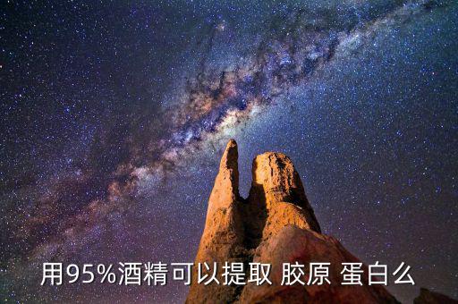 用95%酒精可以提取 膠原 蛋白么