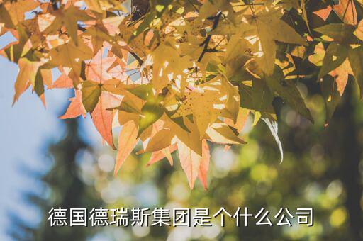 德國德瑞斯集團(tuán)是個什么公司