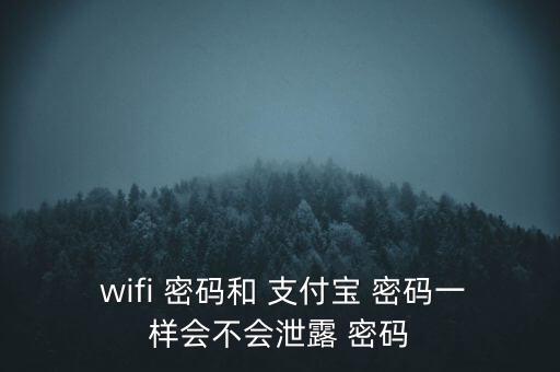  wifi 密碼和 支付寶 密碼一樣會(huì)不會(huì)泄露 密碼