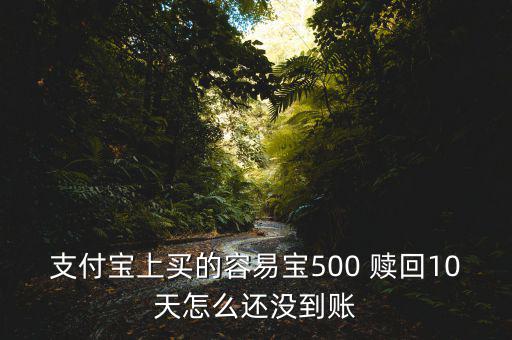 支付寶上買的容易寶500 贖回10天怎么還沒(méi)到賬