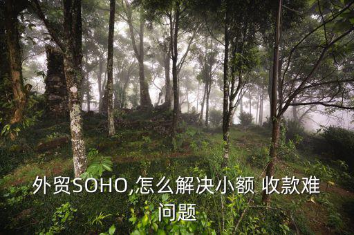 外貿(mào)SOHO,怎么解決小額 收款難問(wèn)題