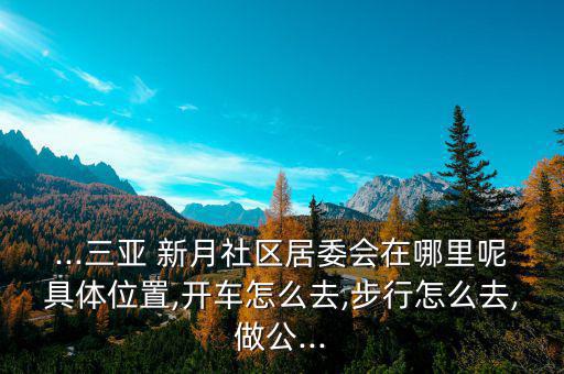 ...三亞 新月社區(qū)居委會(huì)在哪里呢具體位置,開(kāi)車怎么去,步行怎么去,做公...