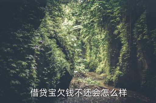  借貸寶欠錢不還會怎么樣