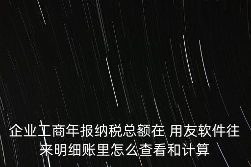 企業(yè)工商年報納稅總額在 用友軟件往來明細賬里怎么查看和計算