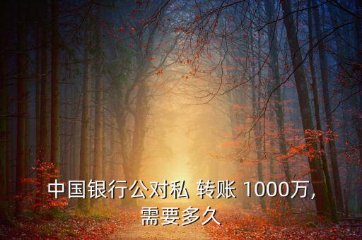 中國銀行公對(duì)私 轉(zhuǎn)賬 1000萬,需要多久