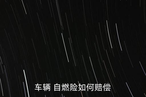 車(chē)輛 自燃險(xiǎn)如何賠償