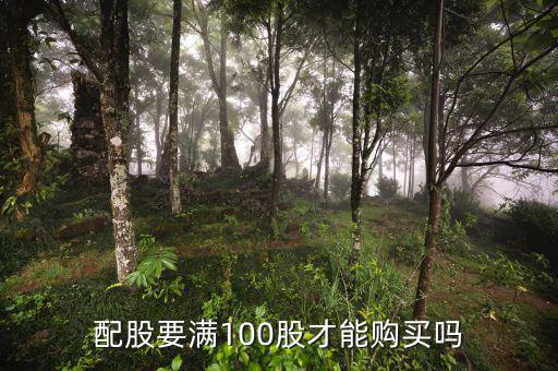 100股怎么買,中國股市規(guī)定大部分股票可以買100股以上