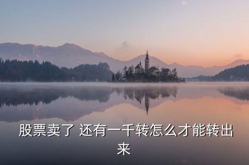  股票賣了 還有一千轉(zhuǎn)怎么才能轉(zhuǎn)出來