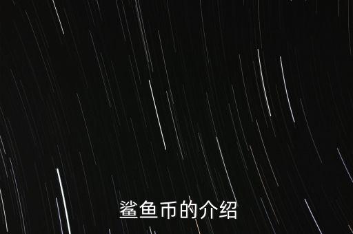  鯊魚幣的介紹