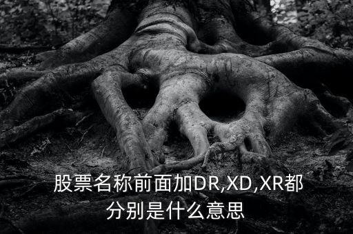  股票名稱前面加DR,XD,XR都分別是什么意思