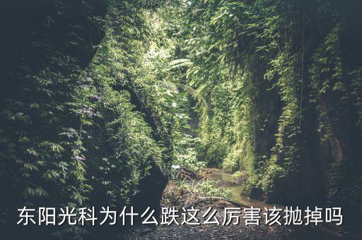 東陽(yáng)光科為什么跌這么厲害該拋掉嗎