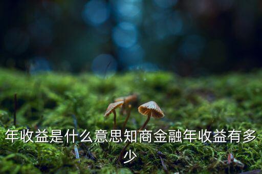 資金占用年收益是什么意思，利息支出中有個(gè)資金占用費(fèi)這個(gè)是什么意思