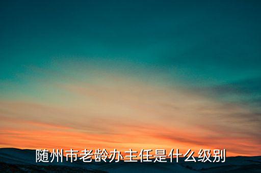 全國(guó)老齡辦副主任什么級(jí)別，全國(guó)老齡委辦公室副主任 什么級(jí)別