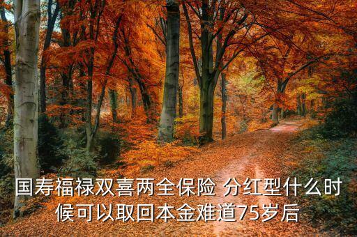 福祿雙喜什么時(shí)候返本，國壽福祿雙喜兩全保險(xiǎn)分紅型我一年交1000交十年什么時(shí)候本金